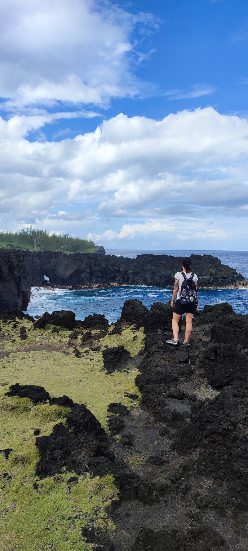 Le Sud Sauvage, Île de La Réunion