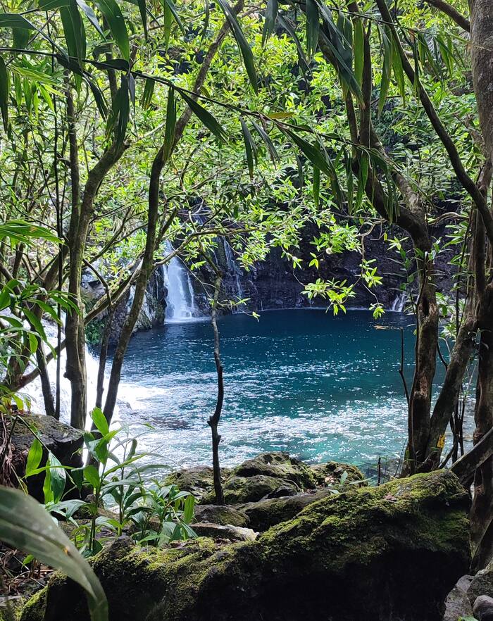 Bassin, Sud Sauvage