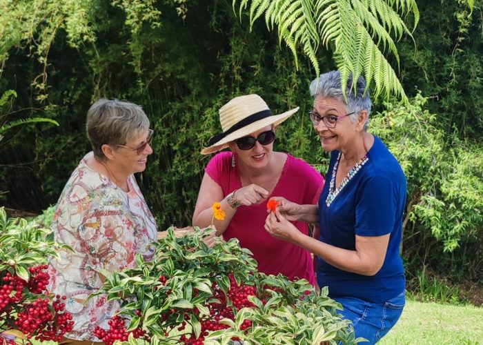 Visites guidées